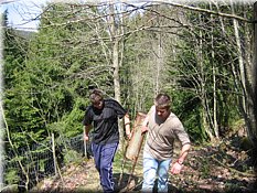 IMG_9672.JPG
